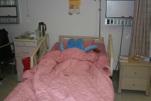Blue Teddy in my Hospital Bed