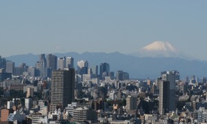 Fuji View